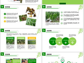 2018年“互聯網+農副產品”市場推廣企業營銷策劃案模板與素材指南