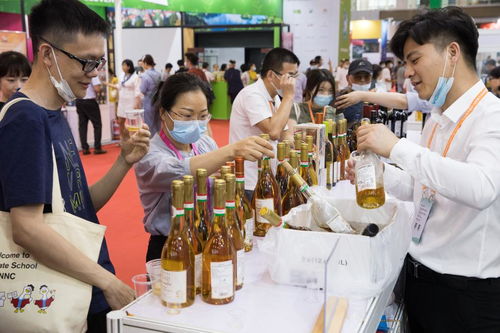 外資加速流入我國攝影擴印服務領域，前五個月同比激增35.4%